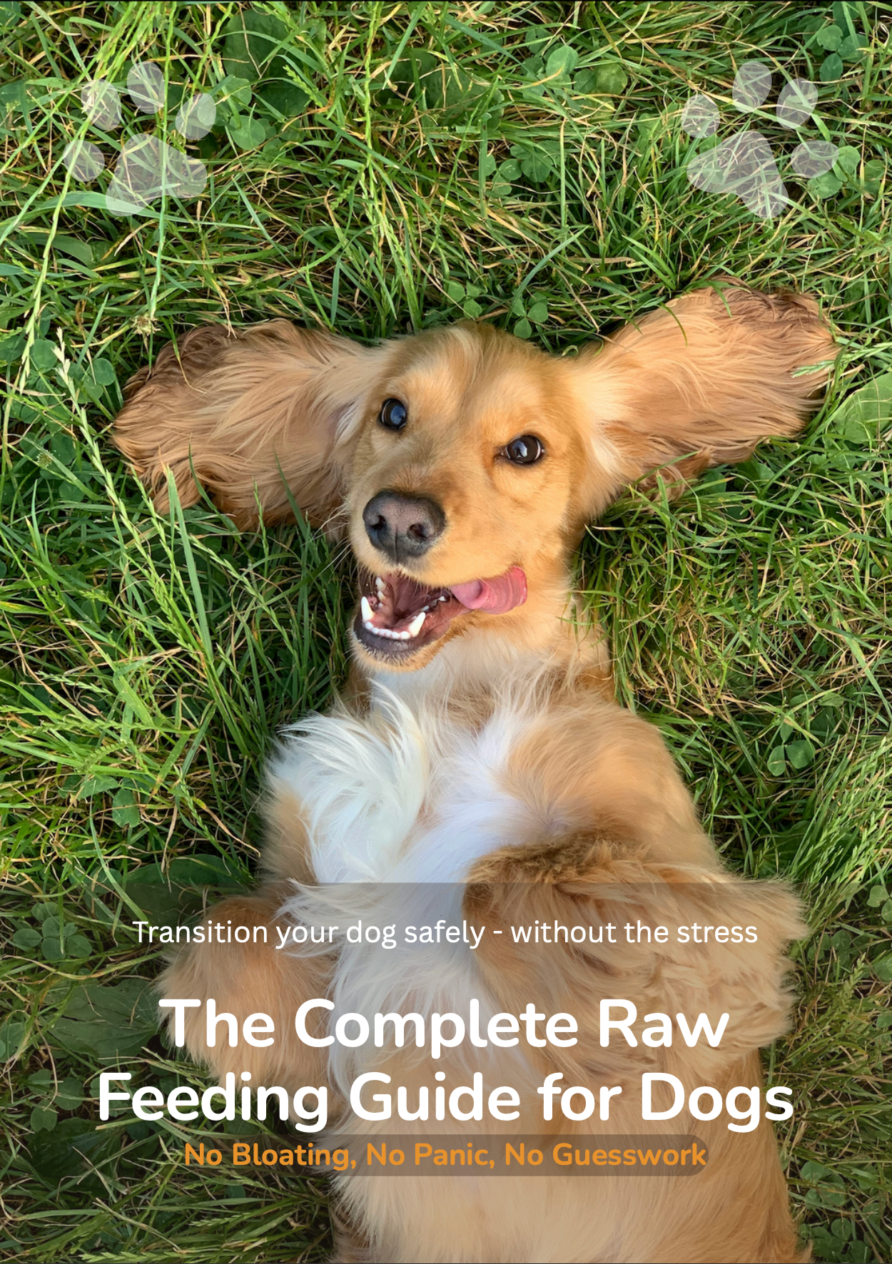 Raw Fed Dog in 30 Days