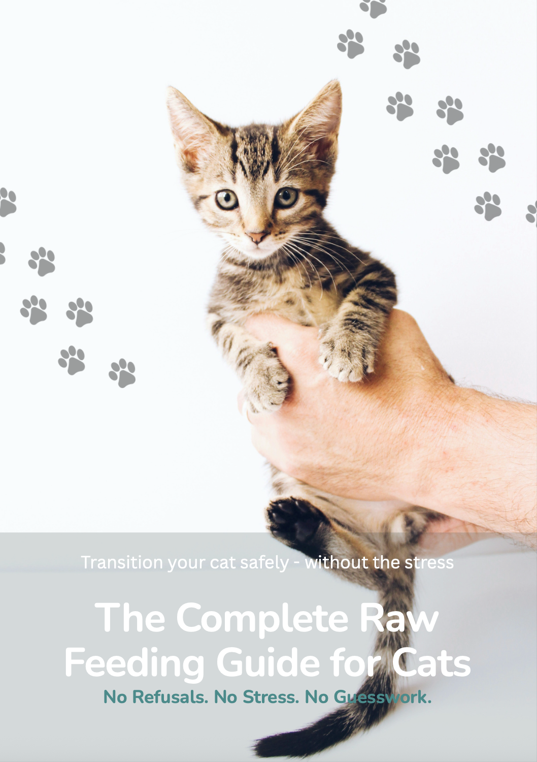 Raw Fed Cat in 30 Days